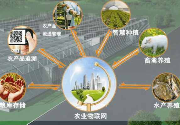 物联网农业物联网比例(物联网设施农业)-图2 物联网农业物联网比例(物联网设施农业)-图2
