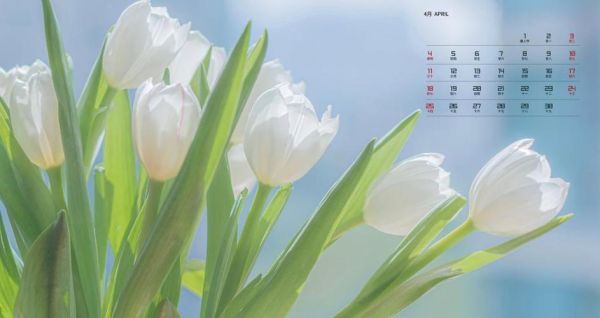 2016年12月电脑桌面(2021年4月电脑桌面)-图1 2016年12月电脑桌面(2021年4月电脑桌面)-图1