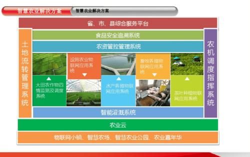 大田物联网(大田物联网亩投资)-图3 大田物联网(大田物联网亩投资)-图3