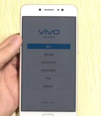 vivo云端密码(vivo手机云端密码忘了怎么办)-图2 vivo云端密码(vivo手机云端密码忘了怎么办)-图2