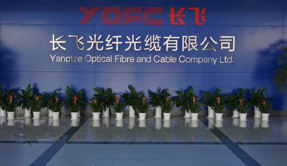长飞光纤烽火通信(长飞光纤和烽火是一家公司吗)-图3 长飞光纤烽火通信(长飞光纤和烽火是一家公司吗)-图3