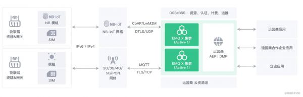 物联网c96大区（物联网coap）