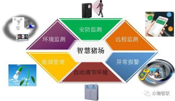 物联网猪舍监控装置（猪场物联网）