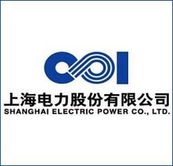 上海电力通信有限公司的简单介绍