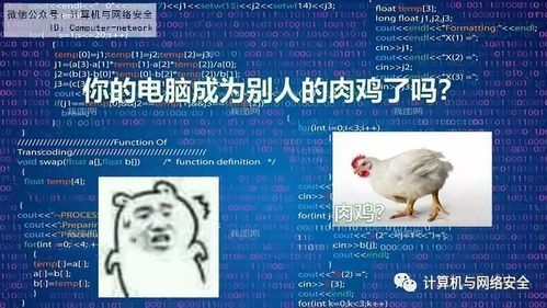 电脑是肉鸡（电脑肉鸡什么意思）