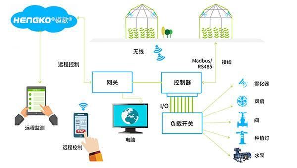 物联网可实现远程控制么（物联网可以上网吗）