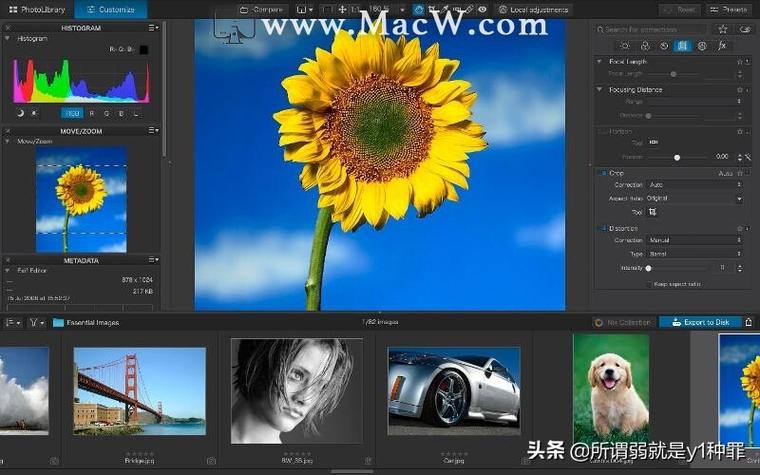电脑版p图神器（电脑端p图软件）