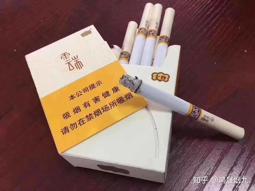 那个云端好（哪个云端好用）