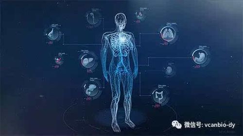 人工智能与精分症治疗(人工智能治疗精神疾病)-图1 人工智能与精分症治疗(人工智能治疗精神疾病)-图1