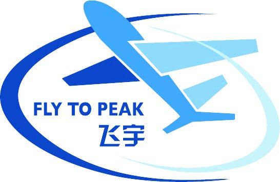 北京飞宇电脑技术有限公司规模（北京飞宇电脑技术有限公司规模有多大）