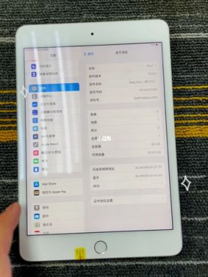 ipadmini云端(ipad云端储存)-图2 ipadmini云端(ipad云端储存)-图2