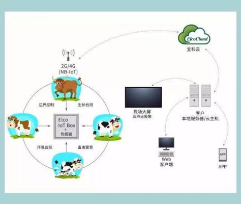 奶牛养殖物联网（物联网养牛羊）