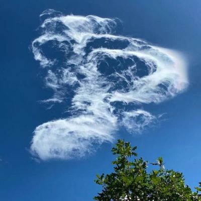 免费的哪个云端好用(免费的哪个云端好用一点)-图1 免费的哪个云端好用(免费的哪个云端好用一点)-图1