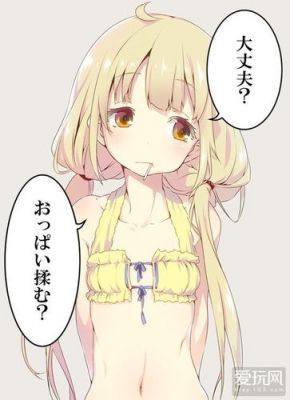 贫乳通信（贫乳是怎样的）