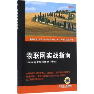 物联网入门项目实战（物联网实战指南）