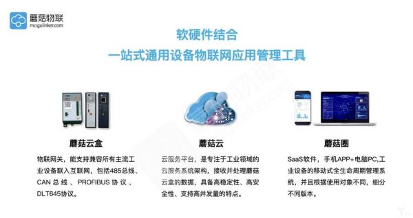 蘑菇物联网（蘑菇物联的商业模式）