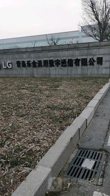 青岛乐金浪潮数字通信（青岛乐金浪潮公司简介）