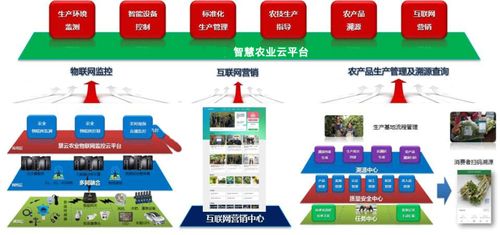 农业物联网落地(农业物联网行业怎么样)-图2 农业物联网落地(农业物联网行业怎么样)-图2