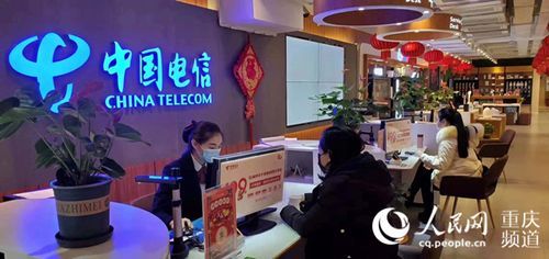 中国通信服务重庆（中国通信服务中心）
