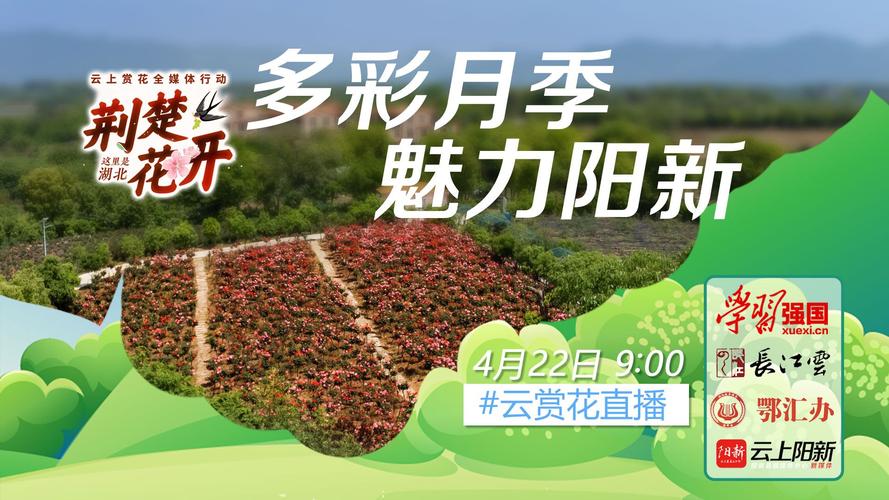 湖北云端行动(云上湖北)-图2 湖北云端行动(云上湖北)-图2