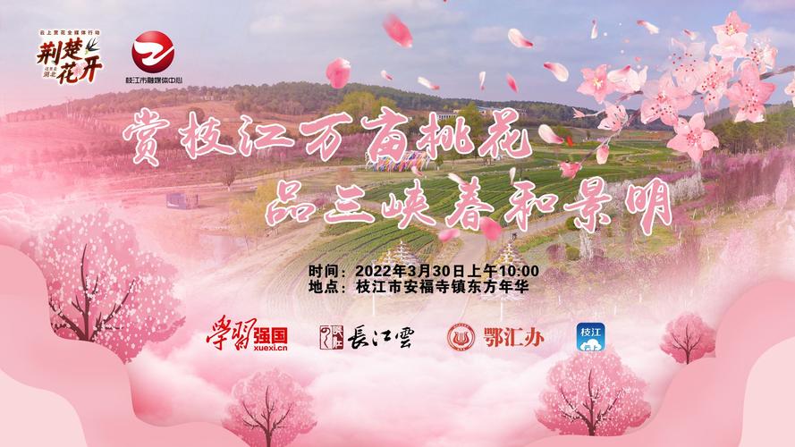 湖北云端行动(云上湖北)-图3 湖北云端行动(云上湖北)-图3