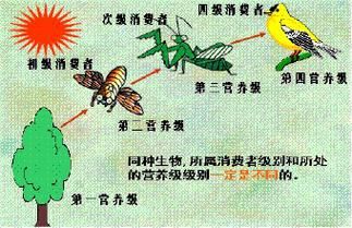 人工智能与食物(人工智能与食物链的关系)-图3 人工智能与食物(人工智能与食物链的关系)-图3
