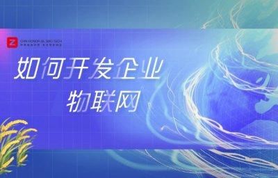 团队北京物联网(北京物联网软件开发公司)-图3 团队北京物联网(北京物联网软件开发公司)-图3