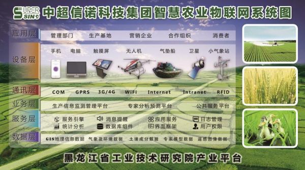 物联网智慧农业ppt免费（物联网与智慧农业结课论文）