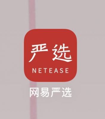 网易严选电脑版（网易严选电脑版怎么登录）