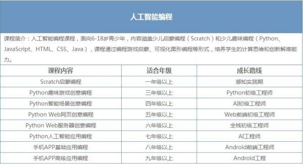 人工智能编程要学什么区别（人工智能编程需要学什么）