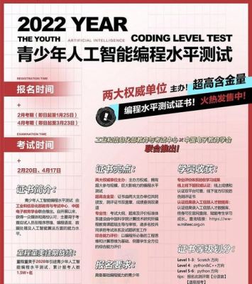 让人工智能编程（人工智能编程水平测试含金量）