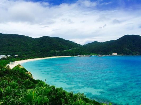 海岛上通信（海岛上有信号吗）