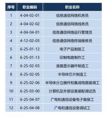 职业通信妇(通信行业国家职业技能标准)-图2 职业通信妇(通信行业国家职业技能标准)-图2