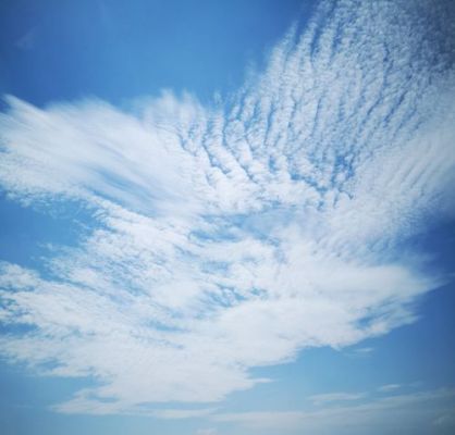 自由云端(自由云朵)-图3 自由云端(自由云朵)-图3