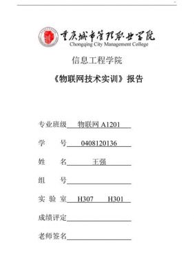 物联网感知实训（物联网感知实训设计报告）