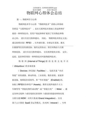 物联网概述文本（物联网概括总结3000字）