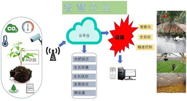 物联网农业协调器(物联网农业协调器是什么)-图3 物联网农业协调器(物联网农业协调器是什么)-图3