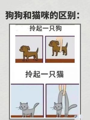 人工智能认猫插件(人工智能把猫识别成狗的笑话)-图3 人工智能认猫插件(人工智能把猫识别成狗的笑话)-图3